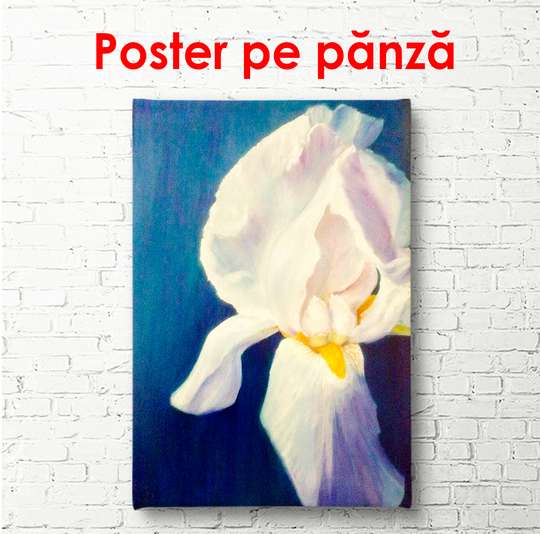 Poster - Delicate poppies on a beige background, 45 x 90 см, Framed poster, Flowers