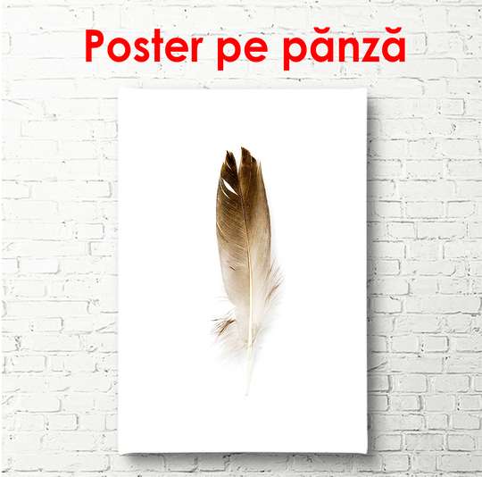 Постер - Перо, 30 x 45 см, Холст на подрамнике, Минимализм