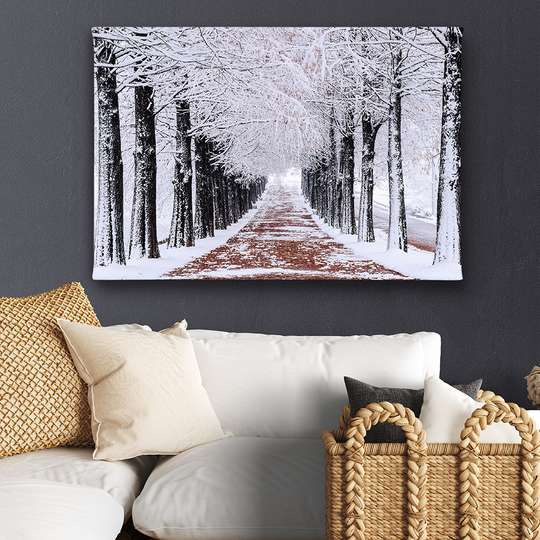 Poster - Pădurea de iarnă, 45 x 30 см, Panza pe cadru, Natură