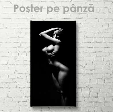 Poster - Umbre pe corpul feminin 1, 30 x 90 см, Panza pe cadru