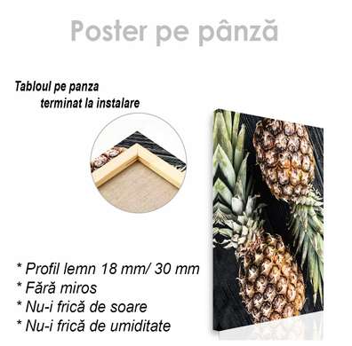 Poster - Ananas, 30 x 45 см, Panza pe cadru