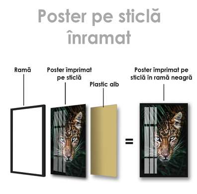 Poster, Privirea prădătorului, 30 x 45 см, Panza pe cadru