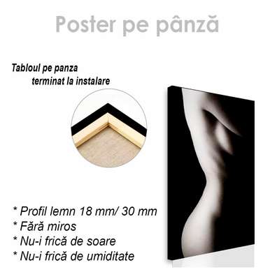 Poster - Corpul feminin, 30 x 60 см, Panza pe cadru