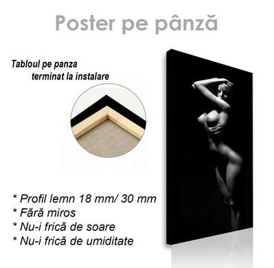 Poster - Umbre pe corpul feminin 1, 30 x 90 см, Panza pe cadru