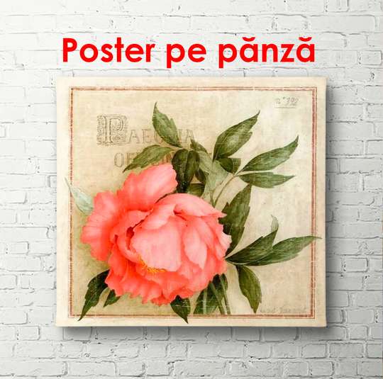 Постер - Розовая роза на зеленоватом фоне, 100 x 100 см, Постер в раме, Прованс