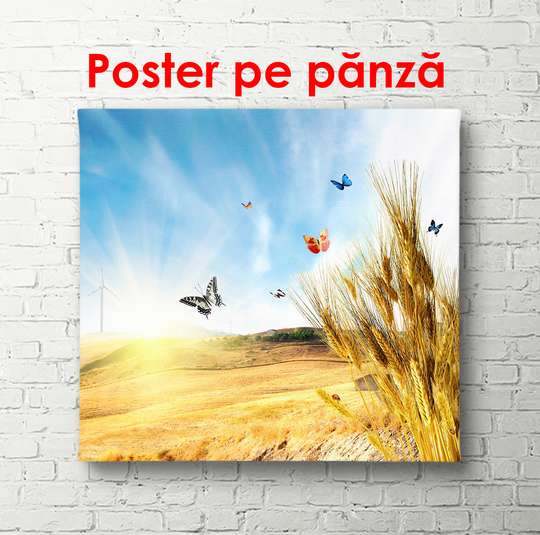 Poster - Butterflies soar in the air against the background of a wheat field, 100 x 100 см, Framed poster, Nature