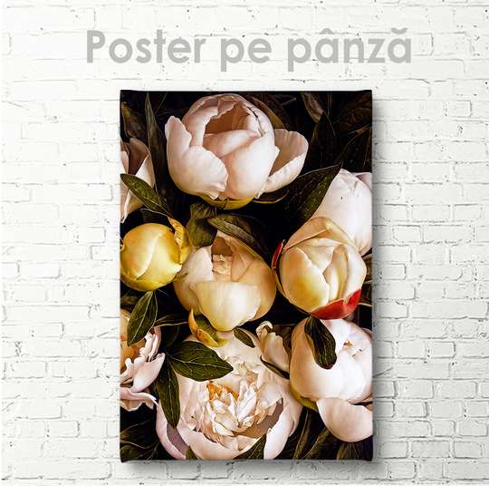 Постер - Белые пионы 1, 30 x 45 см, Холст на подрамнике, Цветы