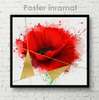 Poster - Red poppy, 40 x 40 см, Canvas on frame
