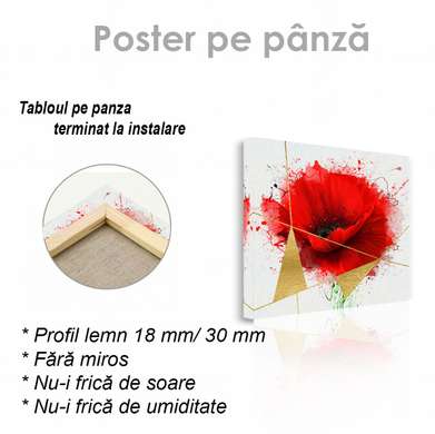 Poster - Mac roșu, 40 x 40 см, Panza pe cadru