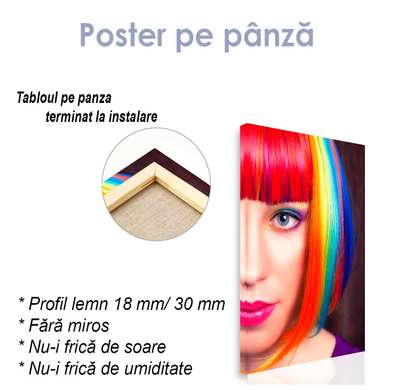 Постер - Девушка с радужной прической, 30 x 60 см, Холст на подрамнике