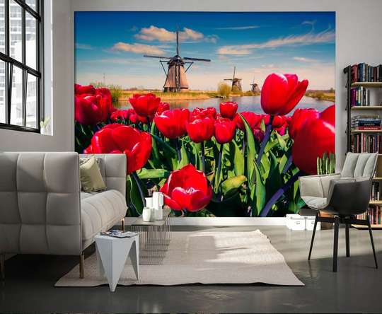 Фотообои - Красные тюльпаны на фоне мельницы