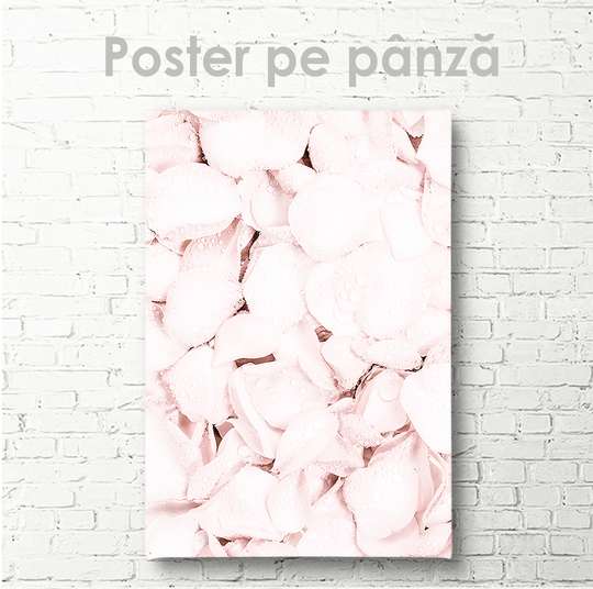 Poster, Petale de trandafir, 30 x 45 см, Panza pe cadru