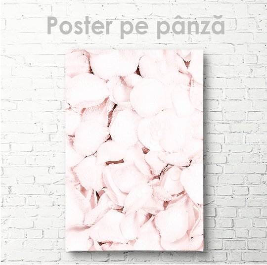 Постер, Лепестки роз, 30 x 45 см, Холст на подрамнике