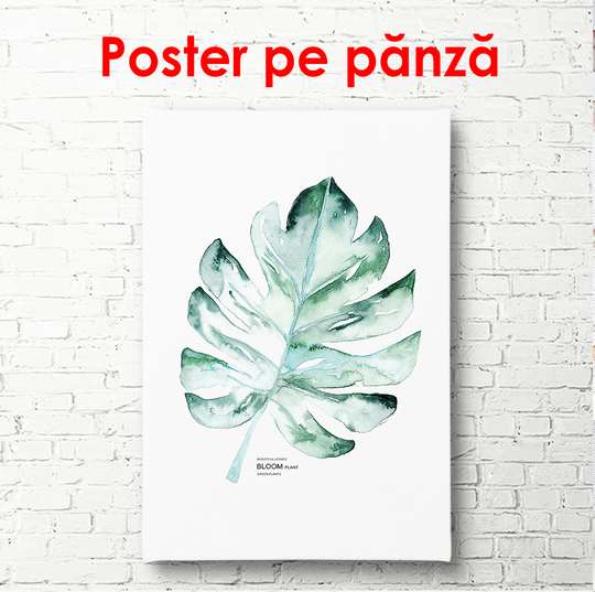 Постер - Зеленый листик на белом фоне, 60 x 90 см, Постер в раме, Ботаника