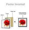 Poster - Red poppy, 40 x 40 см, Canvas on frame