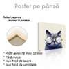 Poster, Fashion cat, 40 x 40 см, Canvas on frame