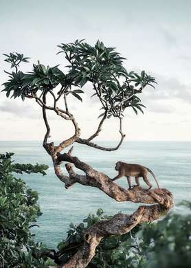 Poster - Maimuță în un copac, 30 x 45 см, Panza pe cadru