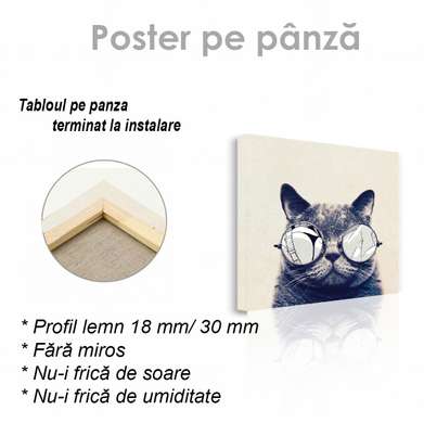 Poster, Pisică de modă, 40 x 40 см, Panza pe cadru