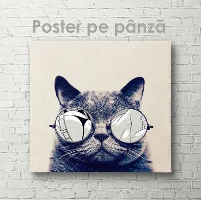 Poster, Fashion cat, 40 x 40 см, Canvas on frame