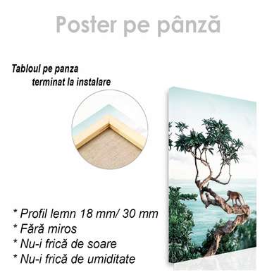 Poster - Maimuță în un copac, 30 x 45 см, Panza pe cadru