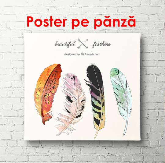 Poster - Firebird feathers, 100 x 100 см, Framed poster, Minimalism