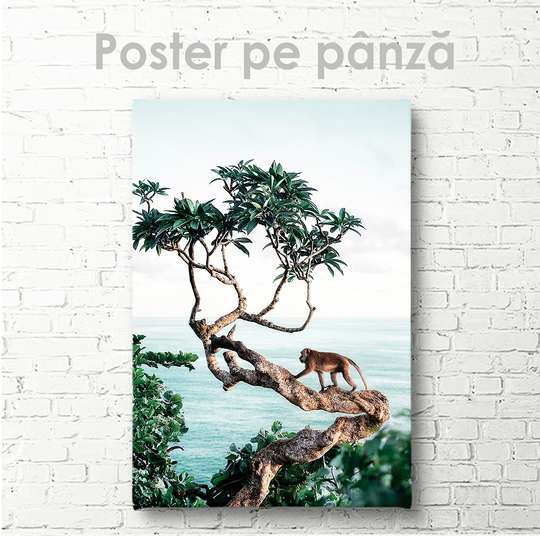 Постер - Обезьяна на дереве, 30 x 45 см, Холст на подрамнике, Природа