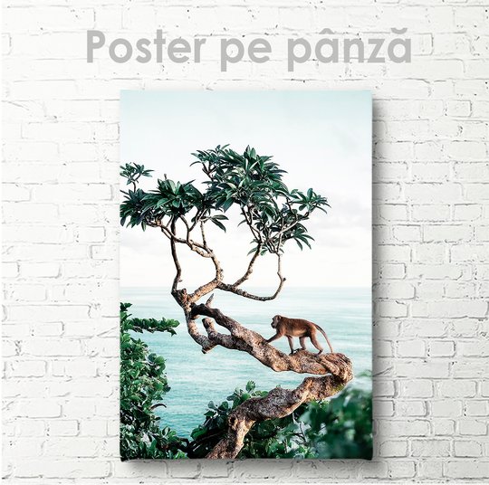 Постер, Обезьяна на дереве, 30 x 45 см, Холст на подрамнике