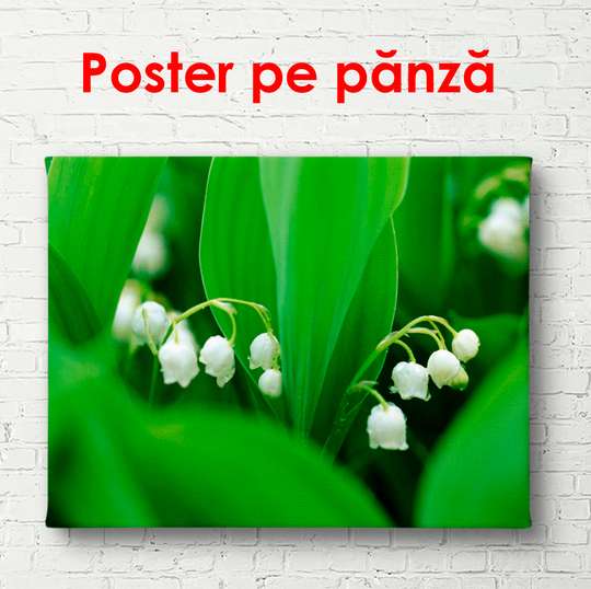 Poster - White spring flowers, 90 x 60 см, Framed poster, Flowers