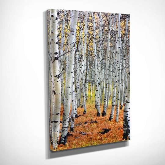 Poster - Birches, 30 x 45 см, Canvas on frame, Art