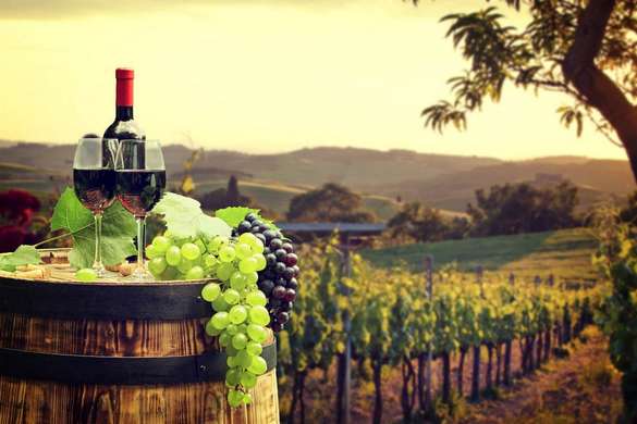 Fototapet - Sticla de vin pe fundalul unui câmp de vie.