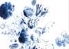 Постер - Синие цветы, 45 x 30 см, Холст на подрамнике, Цветы