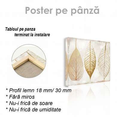 Poster - Frunze de toamnă, 40 x 40 см, Panza pe cadru