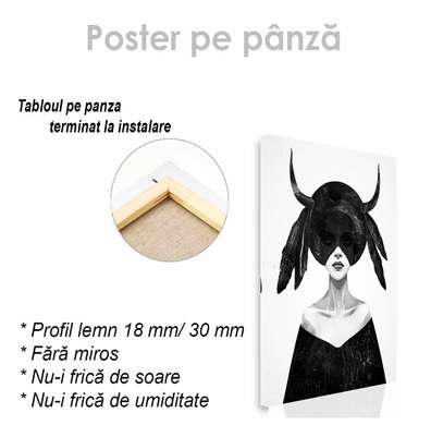 Poster - Maleficent, 30 x 45 см, Panza pe cadru