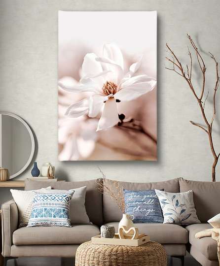Poster - Delicate Magnolia, 30 x 45 см, Canvas on frame