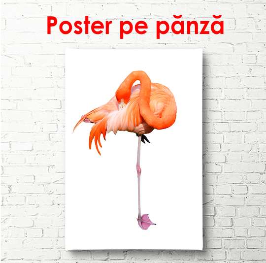 Poster - Flamingo on a white background, 30 x 60 см, Canvas on frame, Minimalism