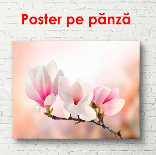 Постер - Нежные розовые магнолии на темном розовом фоне, 90 x 45 см, Постер в раме, Цветы