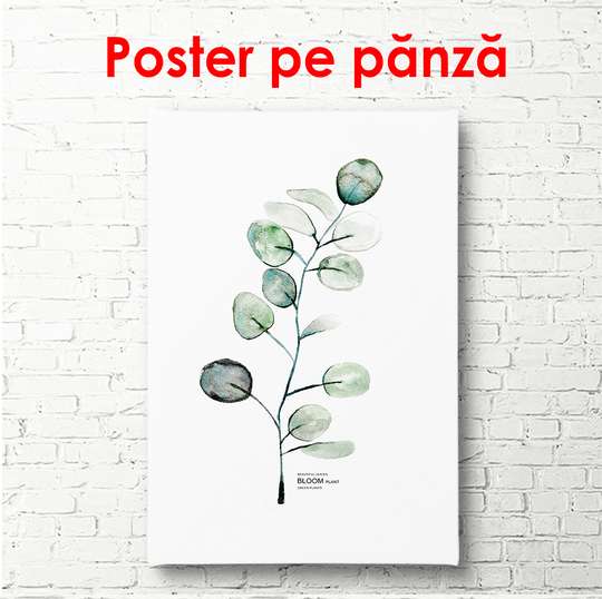 Poster - Green twig on a white background, 60 x 90 см, Framed poster, Botanical