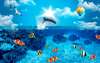 Wall Mural - Colorful fish in the sea