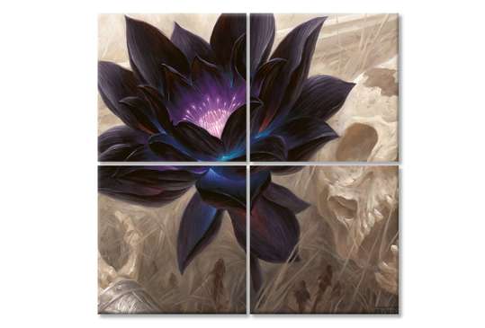Tablou modular,Floare de lotus neagră, 120 x 120