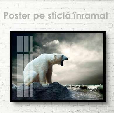 Poster, Polar bear, 45 x 30 см, Canvas on frame