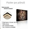 Poster, Tigrul, 40 x 40 см, Panza pe cadru