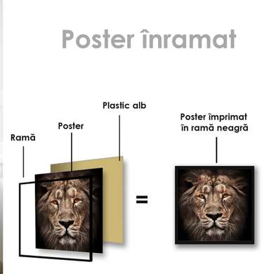 Poster, Tiger, 40 x 40 см, Canvas on frame