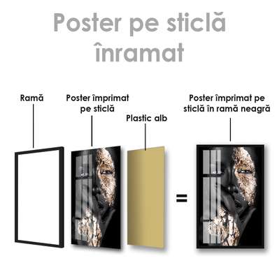 Poster - Privire pătrunzătoare, 30 x 45 см, Panza pe cadru