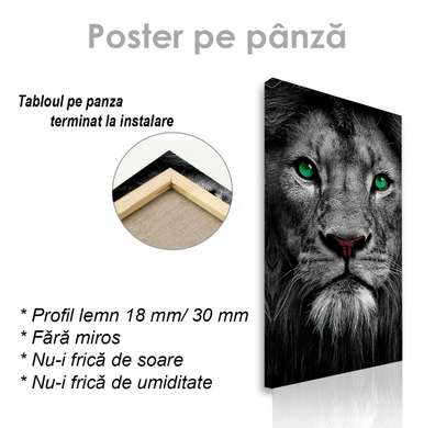 Poster, Leu grațios, 30 x 60 см, Panza pe cadru
