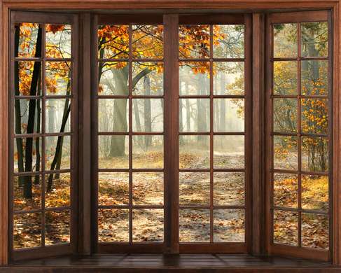 Fototapet - Vedere de la fereastră către pădurea de toamnă