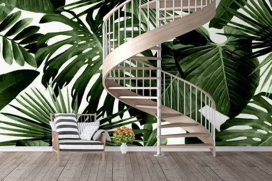 Wall Mural - Leaves of tropical trees on a white background
