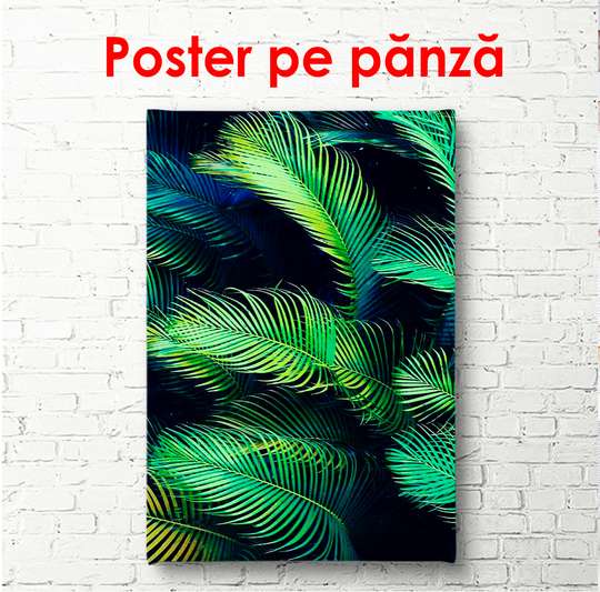 Постер - Пальмовые листья на темном фоне, 60 x 90 см, Постер в раме, Ботаника