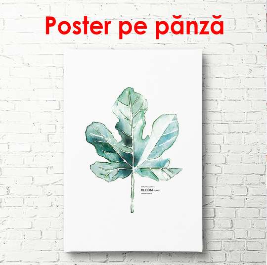 Постер - Нежный листик на белом фоне, 60 x 90 см, Постер в раме, Ботаника