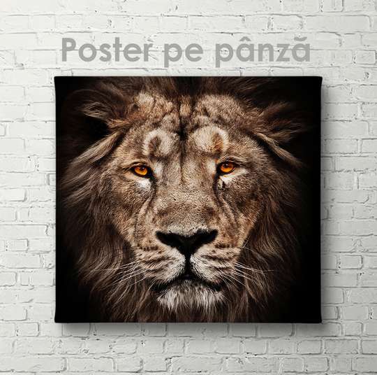 Постер, Тигр, 40 x 40 см, Холст на подрамнике
