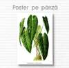 Poster - Green flower, 30 x 45 см, Canvas on frame, Flowers